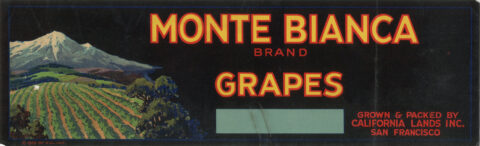 Monte Bianca
